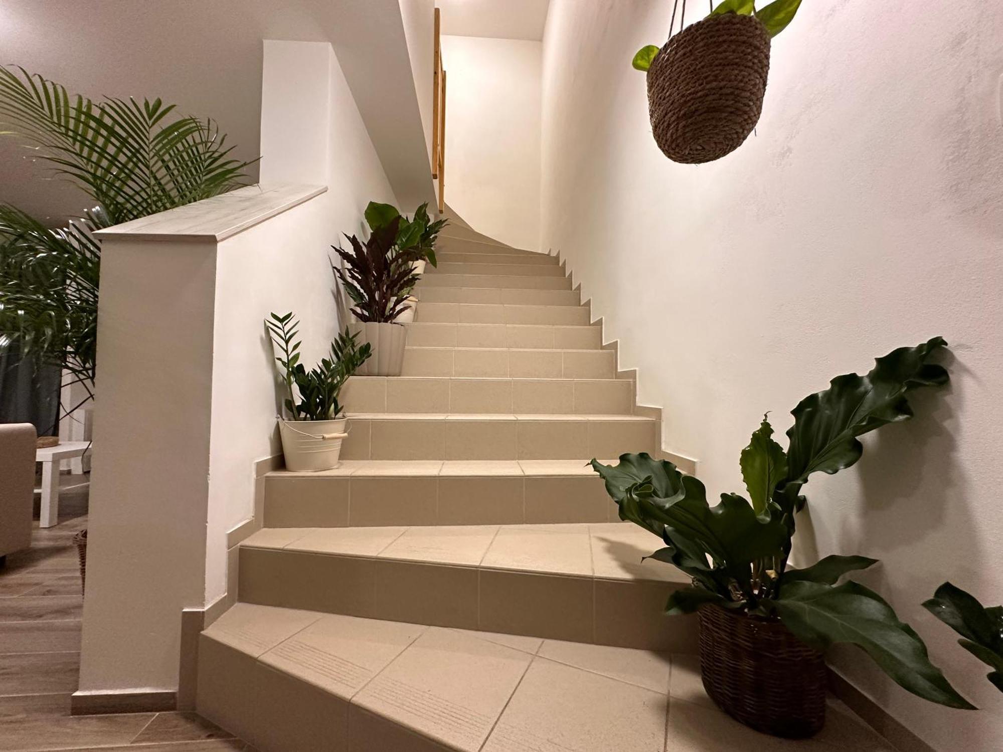 Apartmany Monastery Suites Zirec Dvůr Králové nad Labem Exteriér fotografie