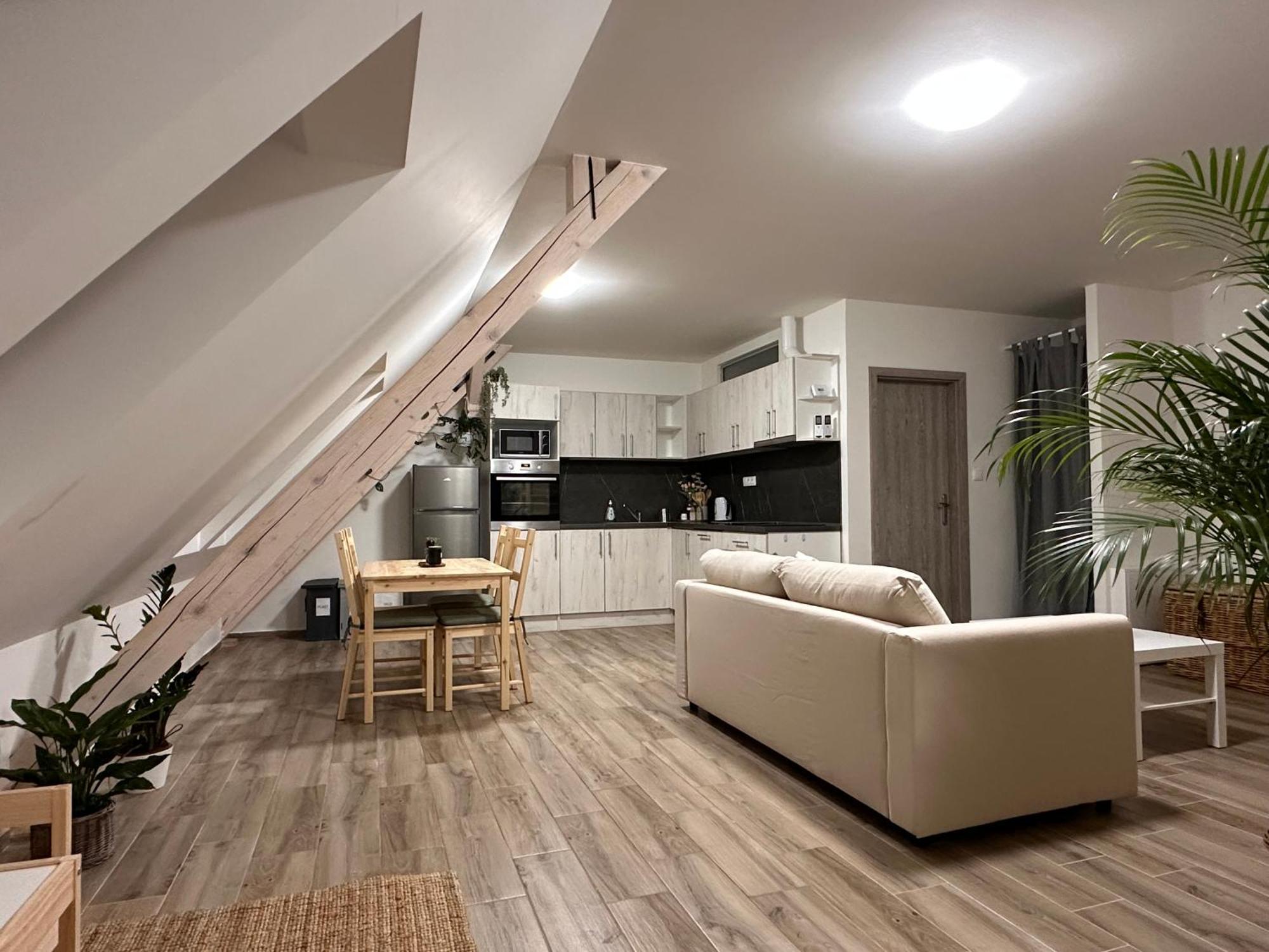Apartmany Monastery Suites Zirec Dvůr Králové nad Labem Exteriér fotografie