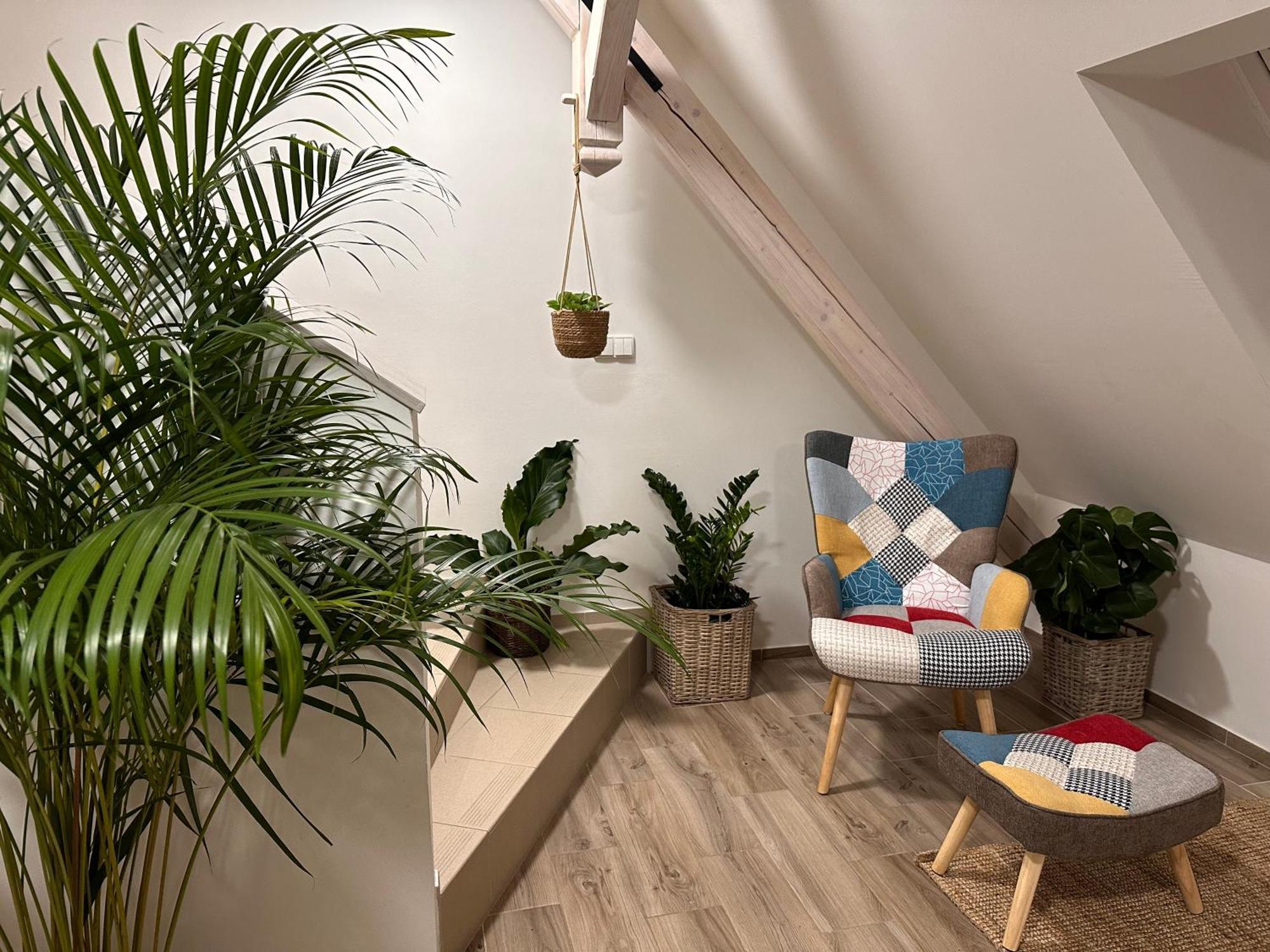 Apartmany Monastery Suites Zirec Dvůr Králové nad Labem Exteriér fotografie